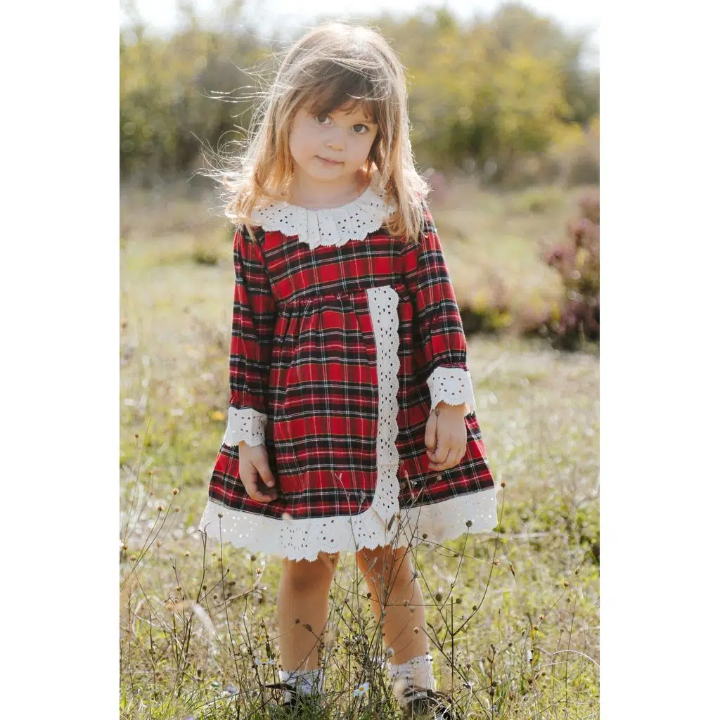 Kız Bebek Kız Çocuk Doğum Günü Parti Düğün Elbise Astarlı Çocuk Giyim Bebek Giyim - Koyu Kırmızı